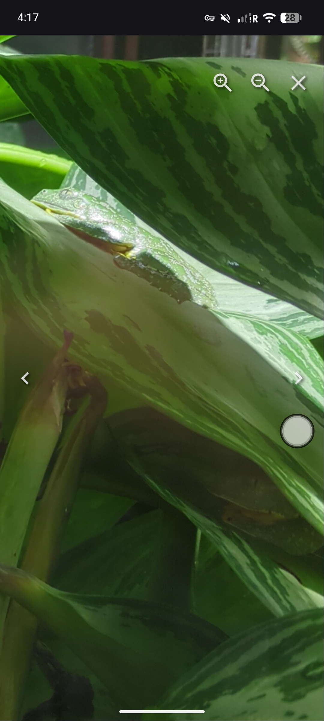 https://thatwhichisnotseen.net/b3551242a02087238b1898232623d9c7f6e32e3e1acc7a154d7fbfac3410e73c.png